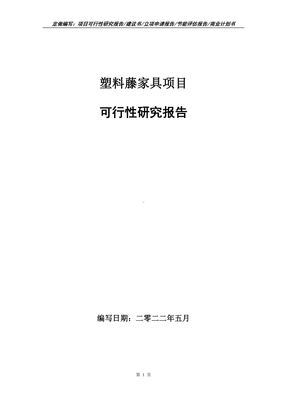 塑料藤家具项目可行性报告（写作模板）.doc_第1页