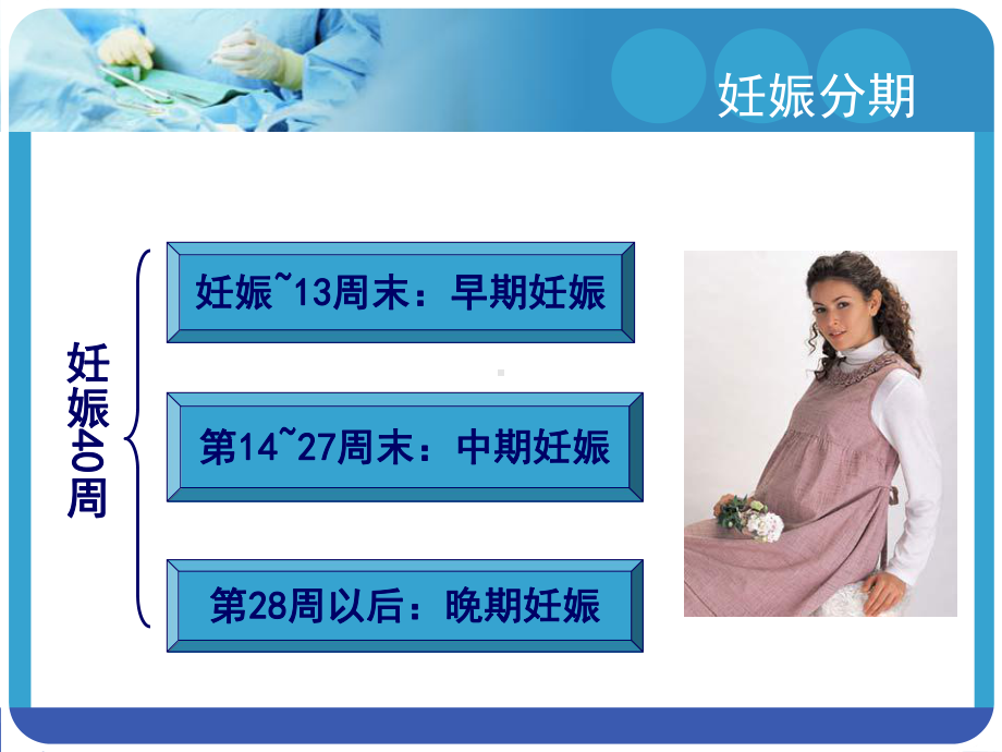 医学精品课件：妊娠诊断.ppt_第2页