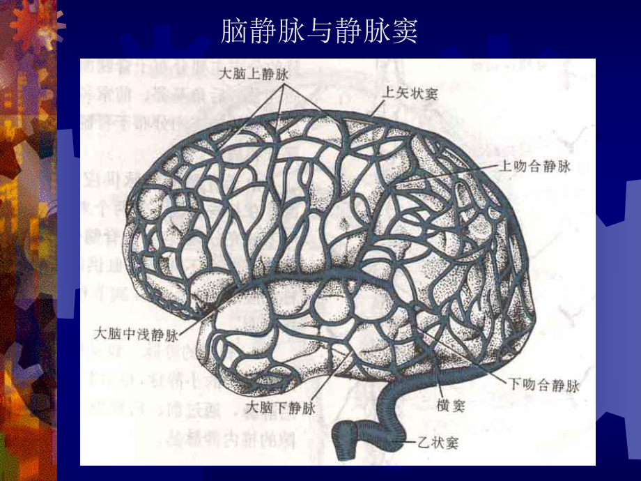 医学精品课件：静脉窦血栓知识.ppt_第3页