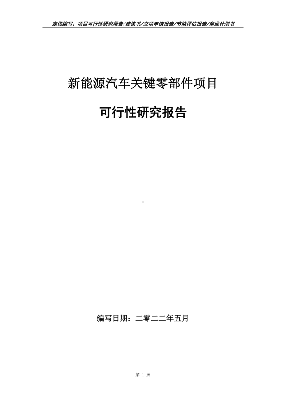 新能源汽车关键零部件项目可行性报告（写作模板）.doc_第1页