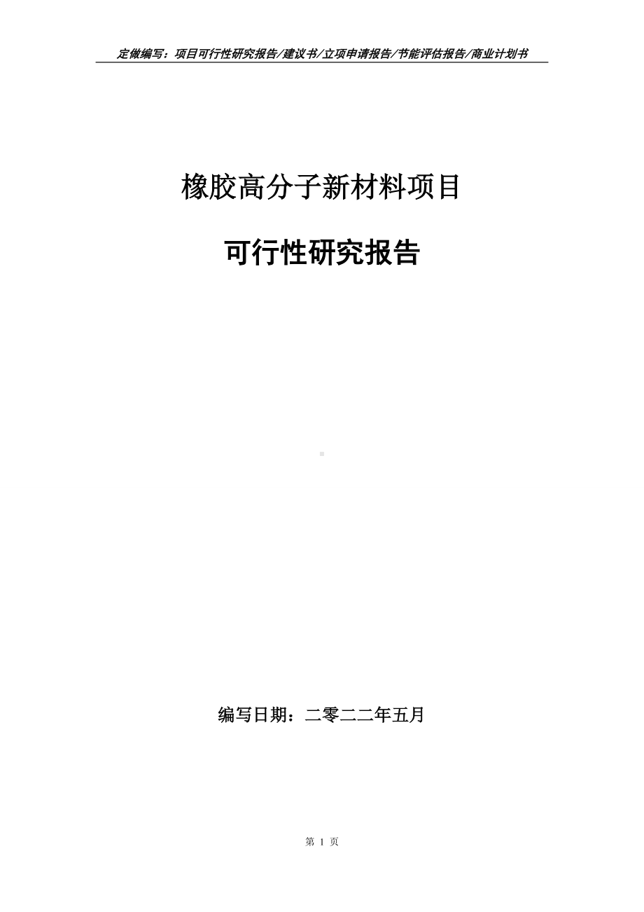 橡胶高分子新材料项目可行性报告（写作模板）.doc_第1页