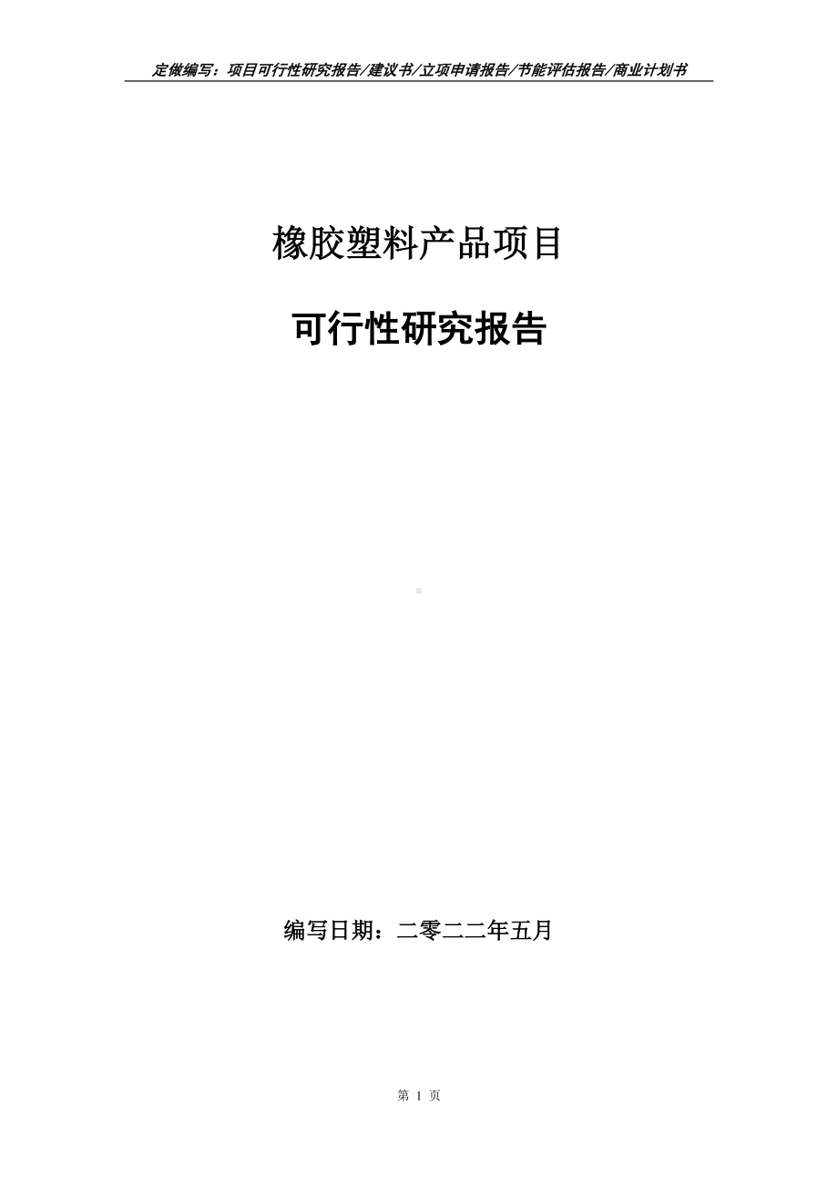 橡胶塑料产品项目可行性报告（写作模板）.doc_第1页