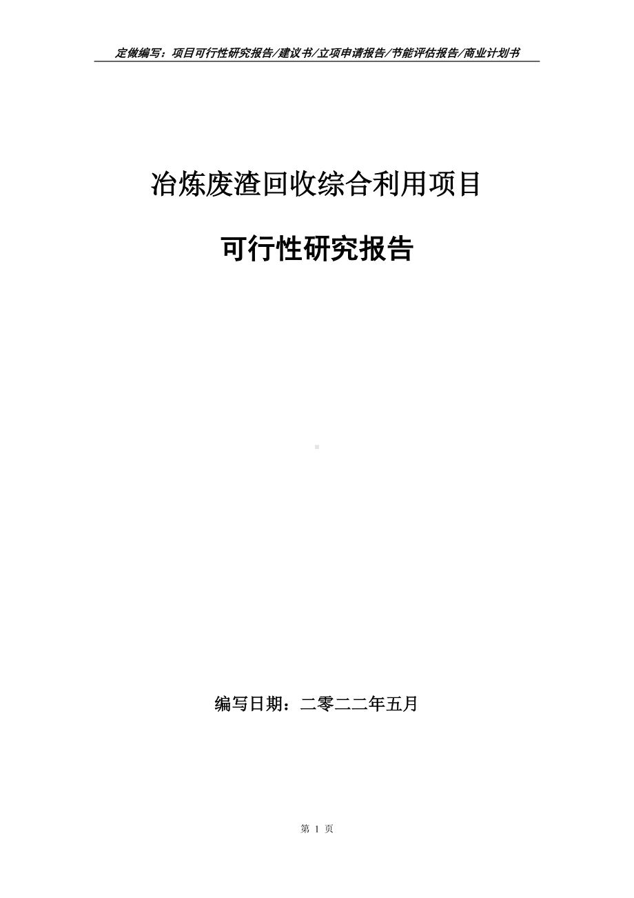 冶炼废渣回收综合利用项目可行性报告（写作模板）.doc_第1页