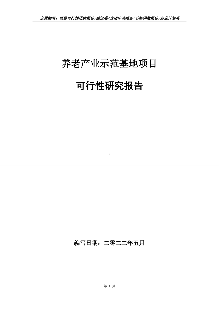 养老产业示范基地项目可行性报告（写作模板）.doc_第1页