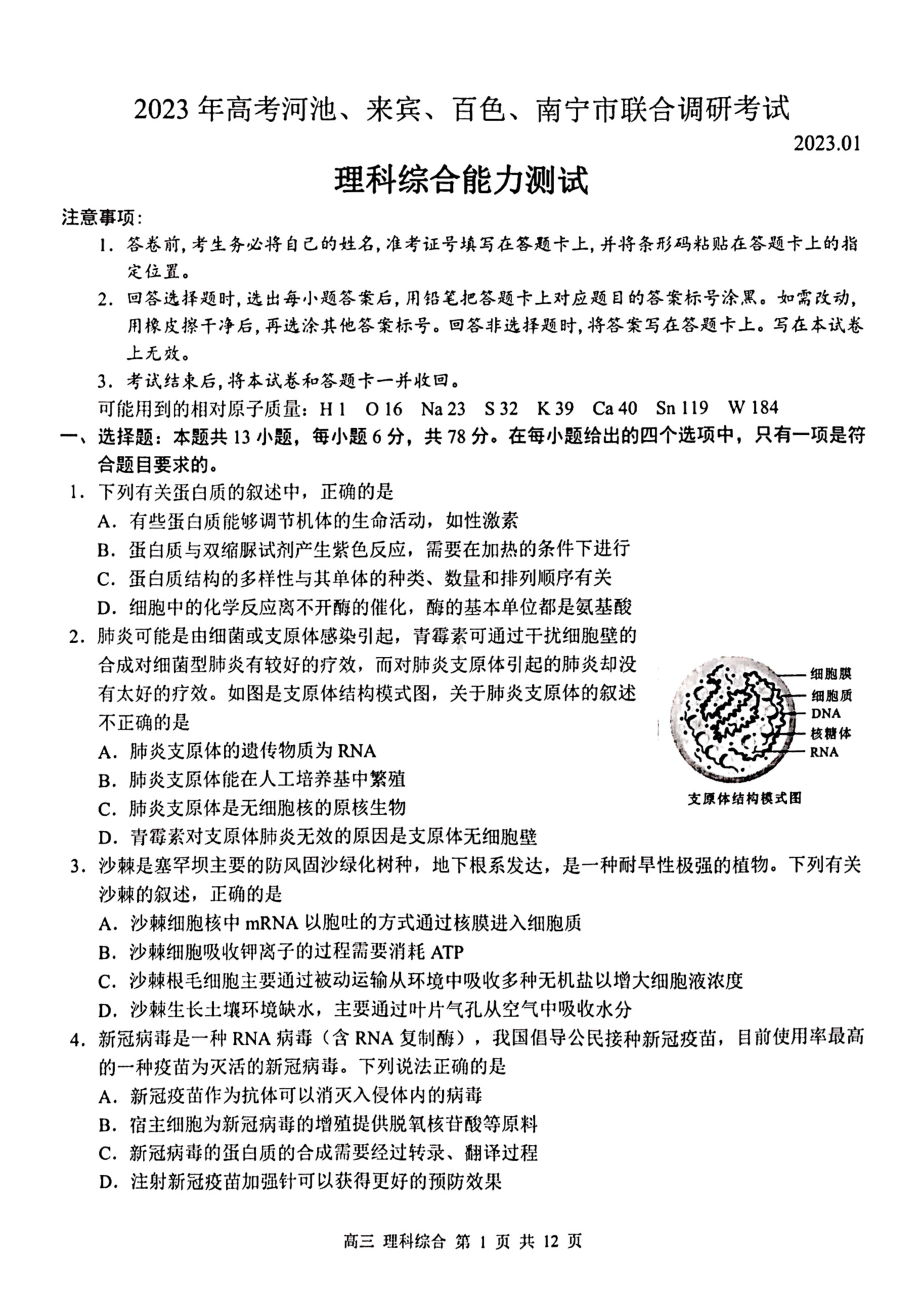 2023届广西联合调研高三上学期一模理科综合试卷+答案.pdf_第1页