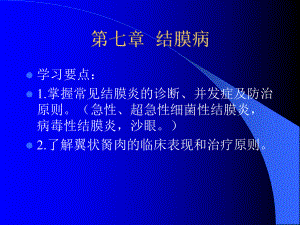 医学精品课件：眼睑结膜泪器.ppt