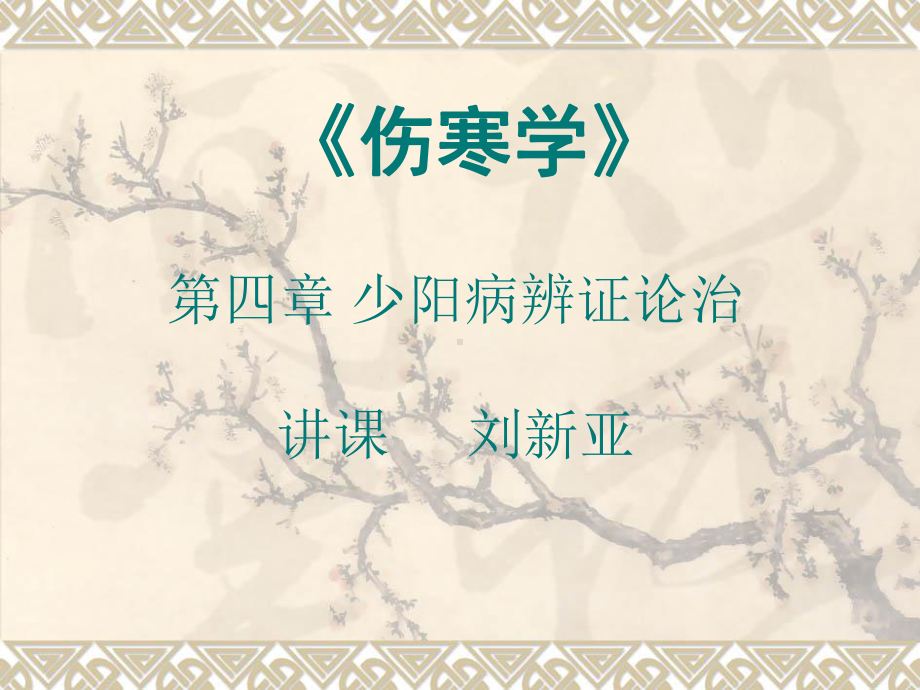 医学精品课件：少阳学.ppt_第1页