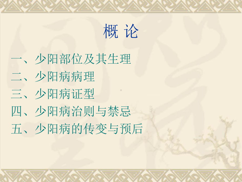 医学精品课件：少阳学.ppt_第3页