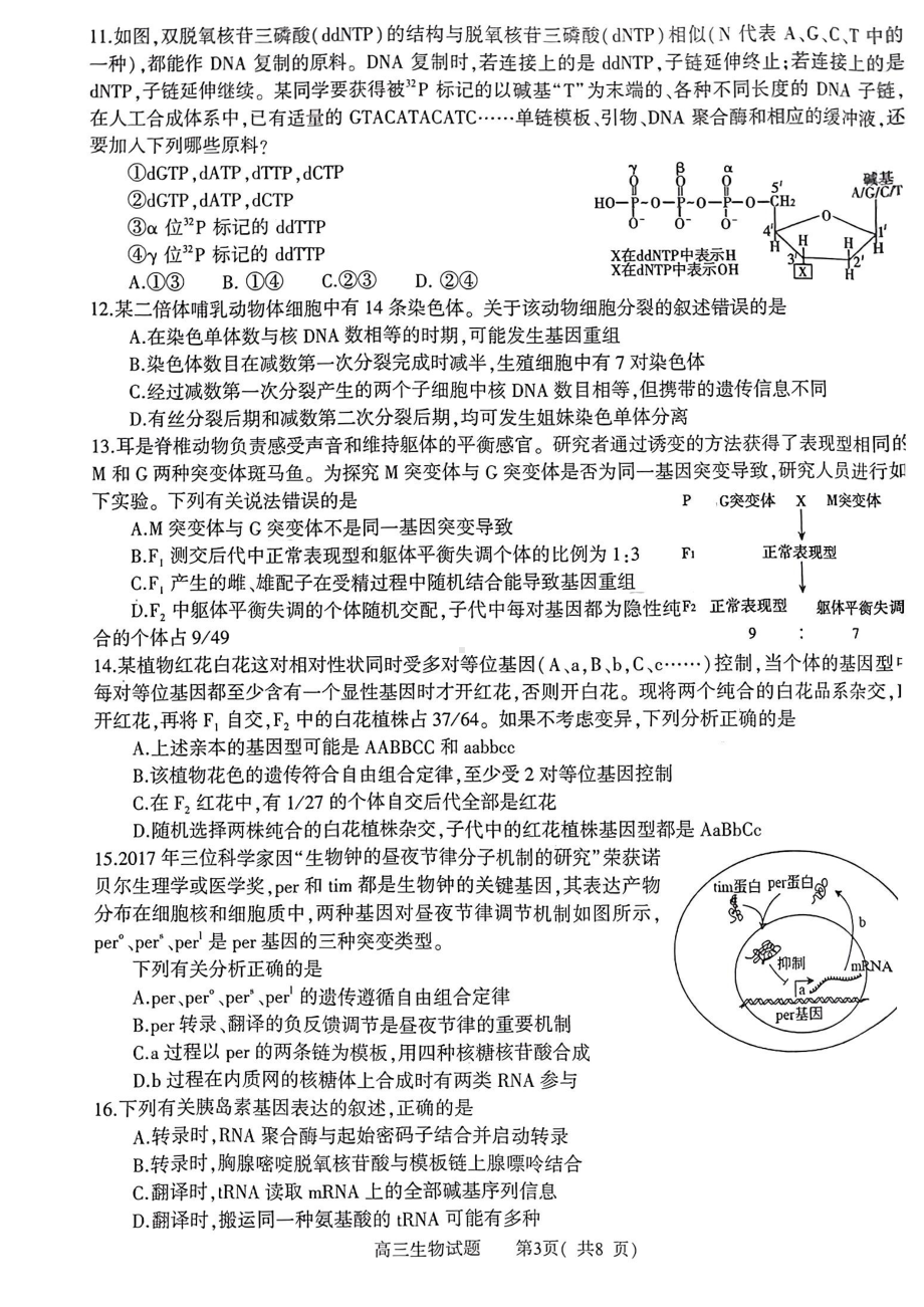 2023河南省信阳市普通高中高三第二次教学质量检测生物试题及答案.pdf_第3页