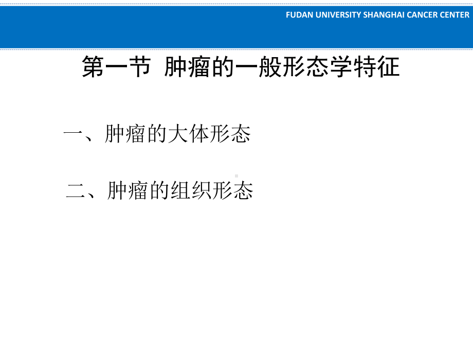 医学精品课件：肿瘤病理学.pptx_第3页