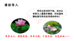 部编版三年级下册语文（教学课件）3.荷花.ppt