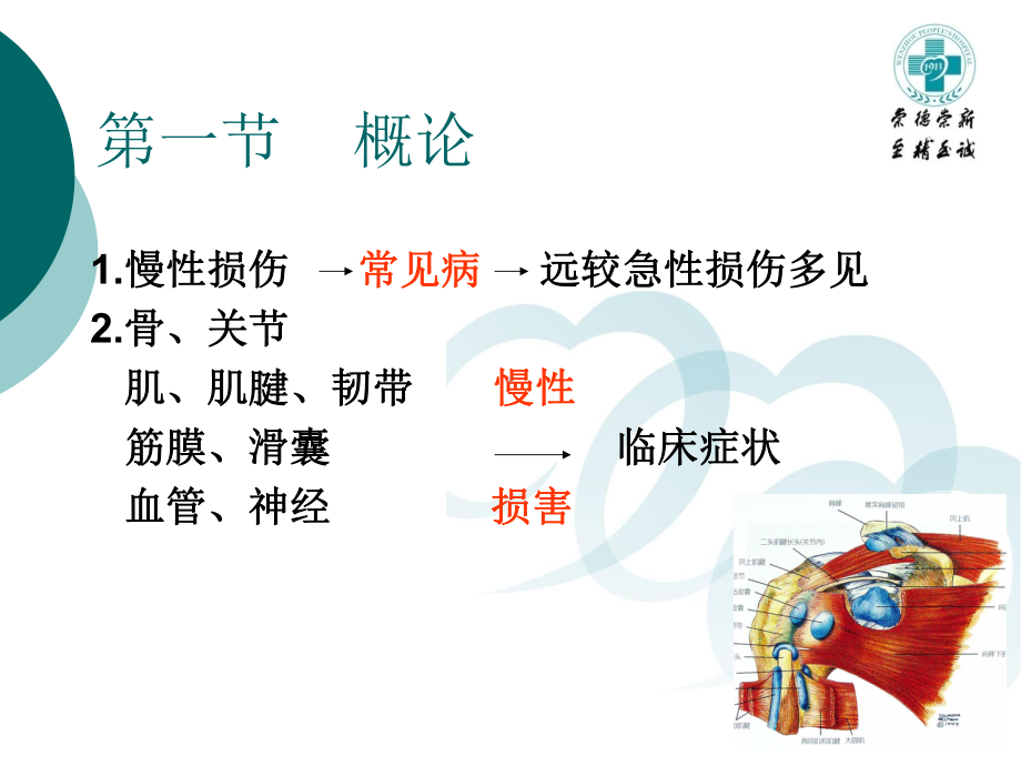 医学精品课件：腰腿痛和颈肩痛.ppt_第3页