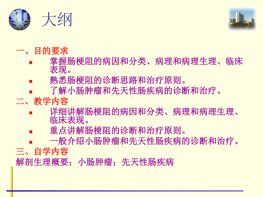 医学精品课件：小肠疾病(叶擎雨).ppt_第2页