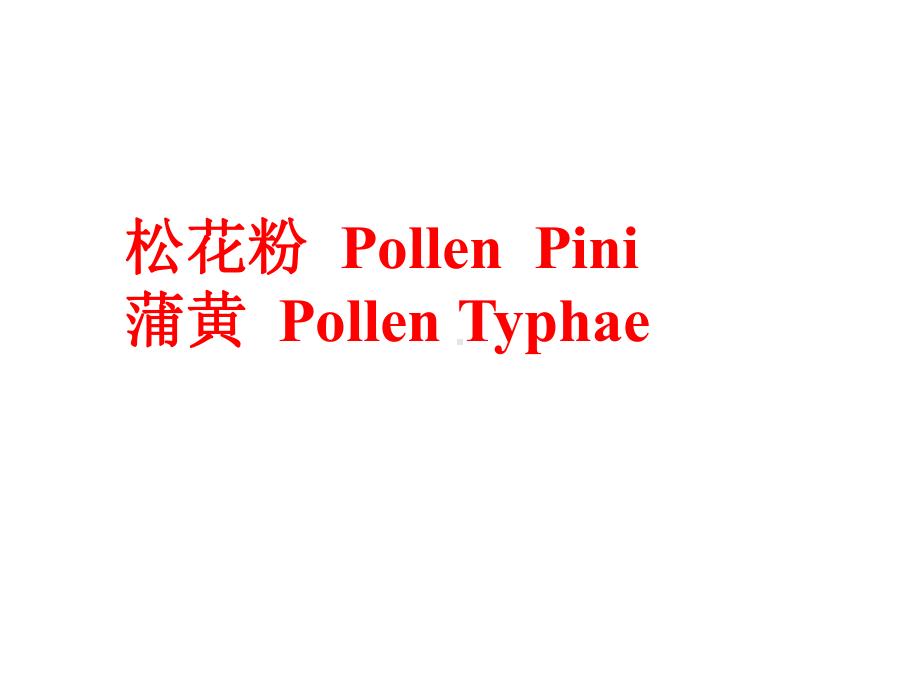 医学精品课件：松花粉.ppt_第1页