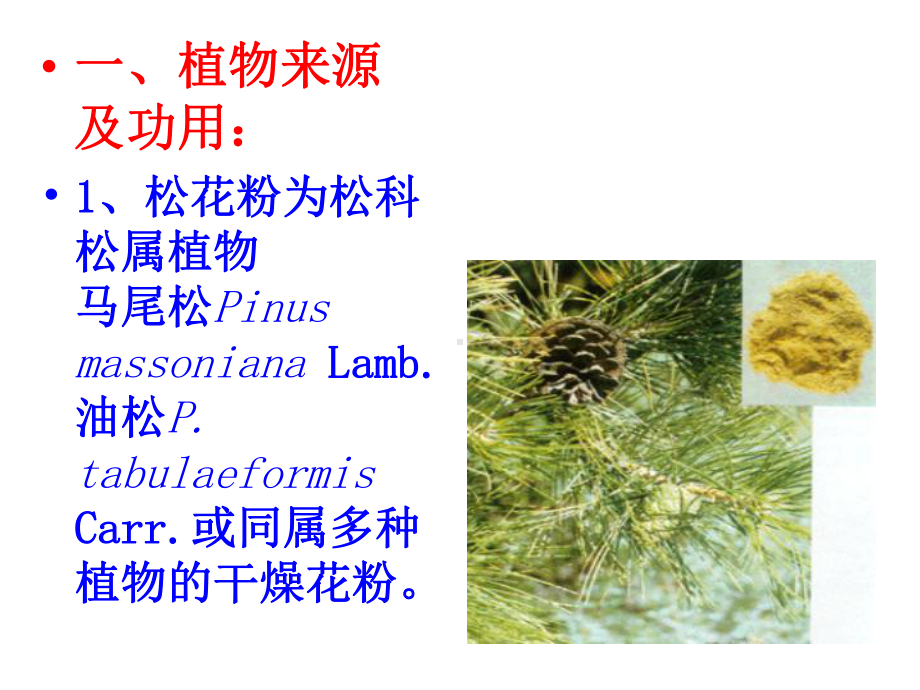 医学精品课件：松花粉.ppt_第2页