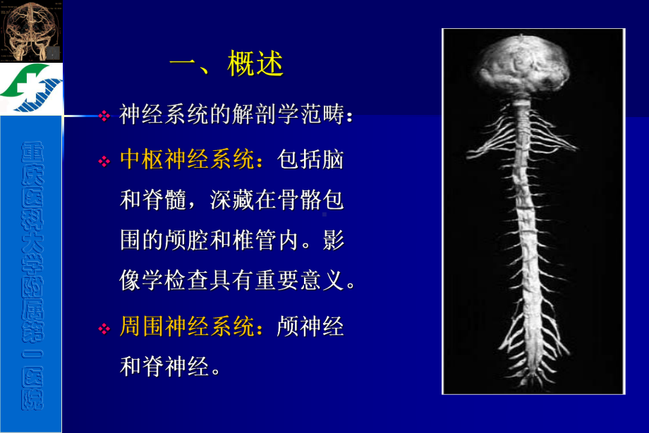 医学精品课件：神经系统影像诊断1.ppt_第2页