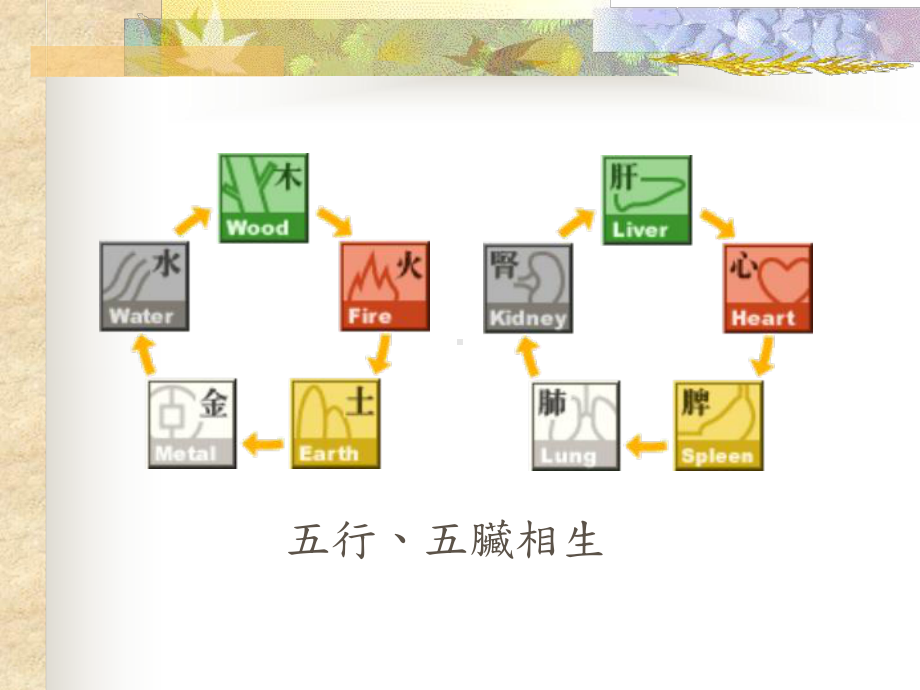 医学精品课件：中医营养学.ppt_第3页