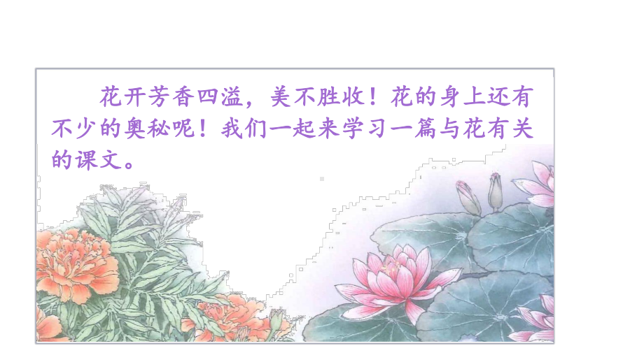 部编版三年级下册语文（教学课件）13.花钟.ppt_第3页