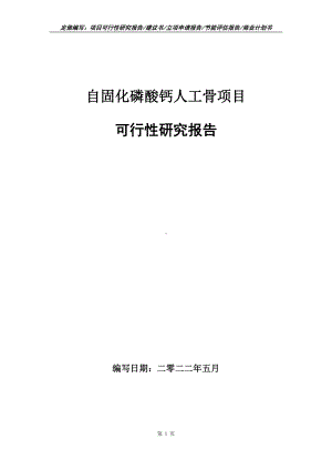 自固化磷酸钙人工骨项目可行性报告（写作模板）.doc