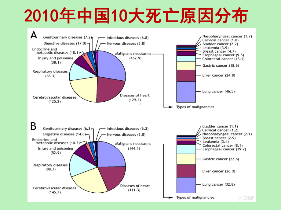 医学精品课件：肿瘤的放疗.ppt_第3页