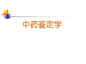 医学精品课件：中药鉴定.ppt