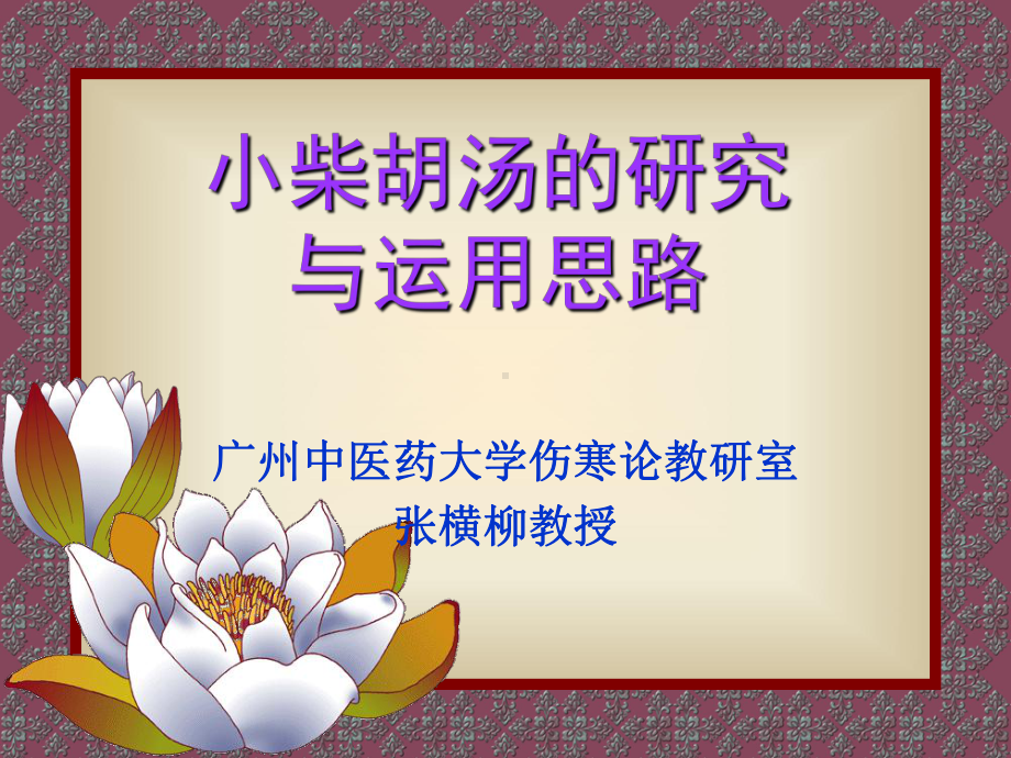 医学精品课件：小柴胡汤的研究与运用思路.ppt_第2页