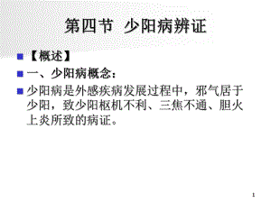 医学精品课件：少阳病.ppt