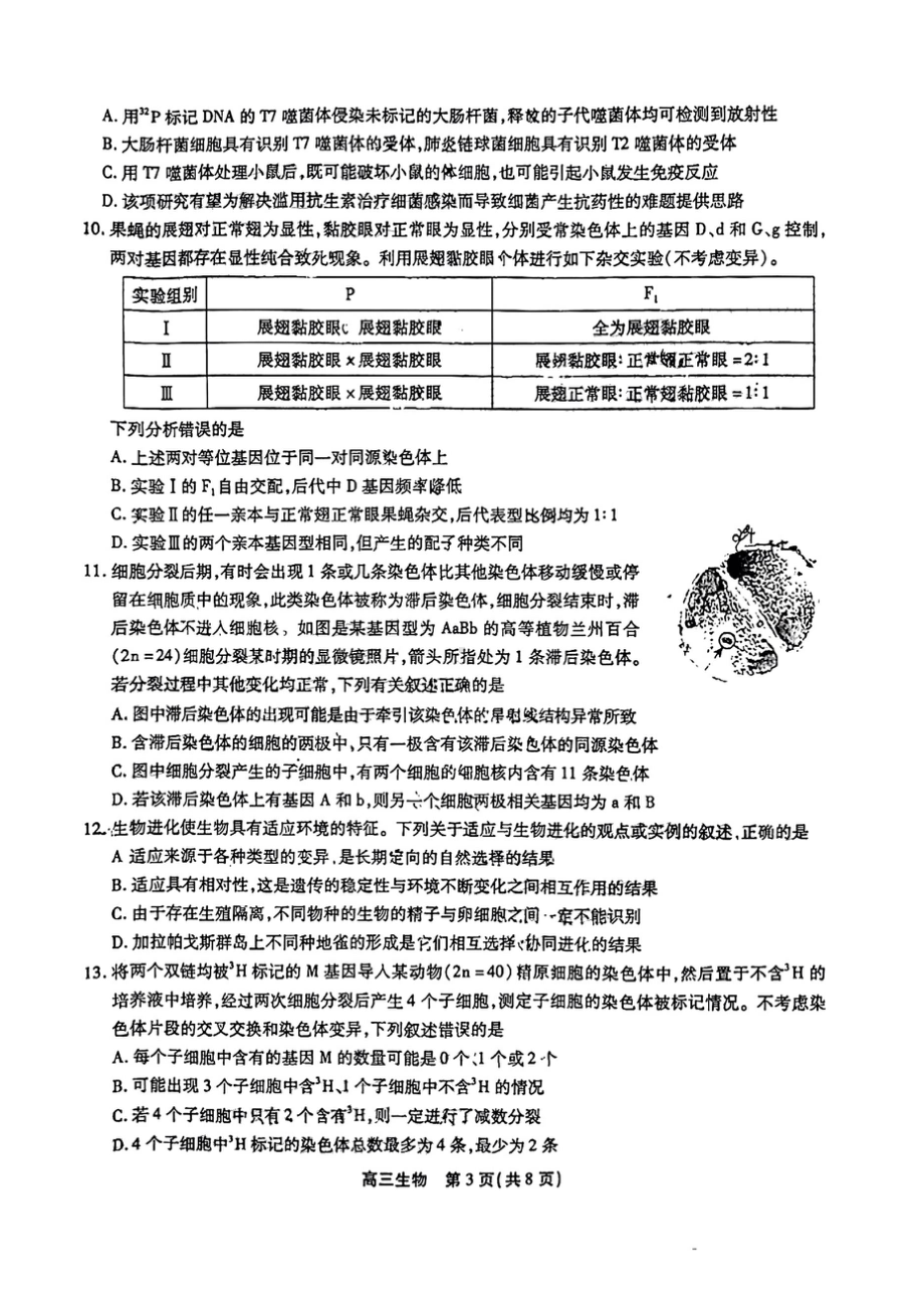 2023届安徽高三鼎尖名校联盟12月联考生物 试卷及答案.doc_第3页