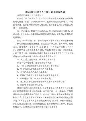 市场部门经理个人工作计划800字5篇.docx