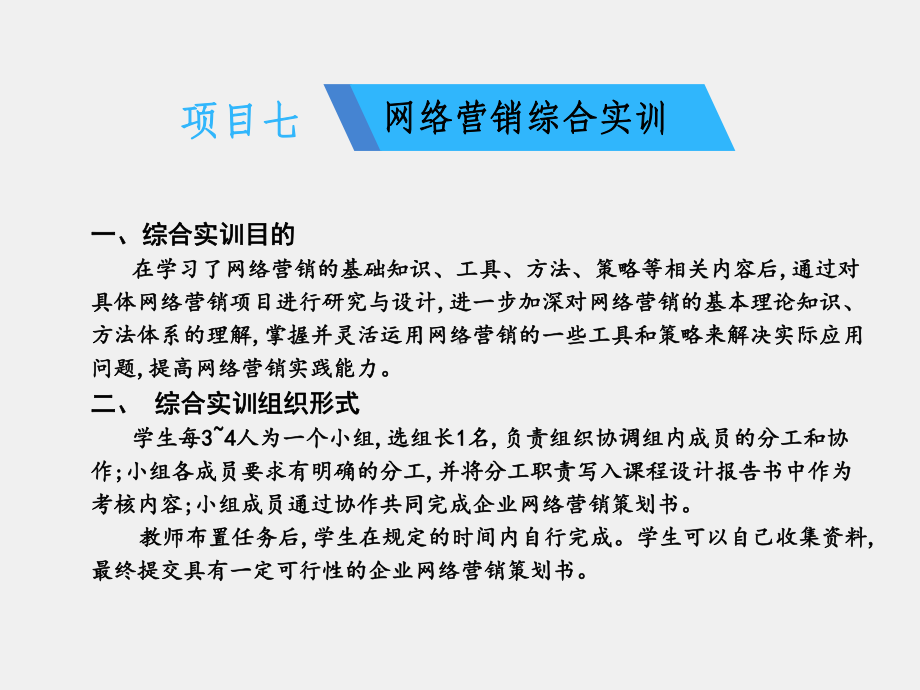 《网络营销实务》课件项目七网络营销综合实训.ppt_第1页