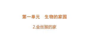 1.2金丝猴的家 ppt课件(共17张PPT )-2023新大象版六年级下册《科学》.pptx