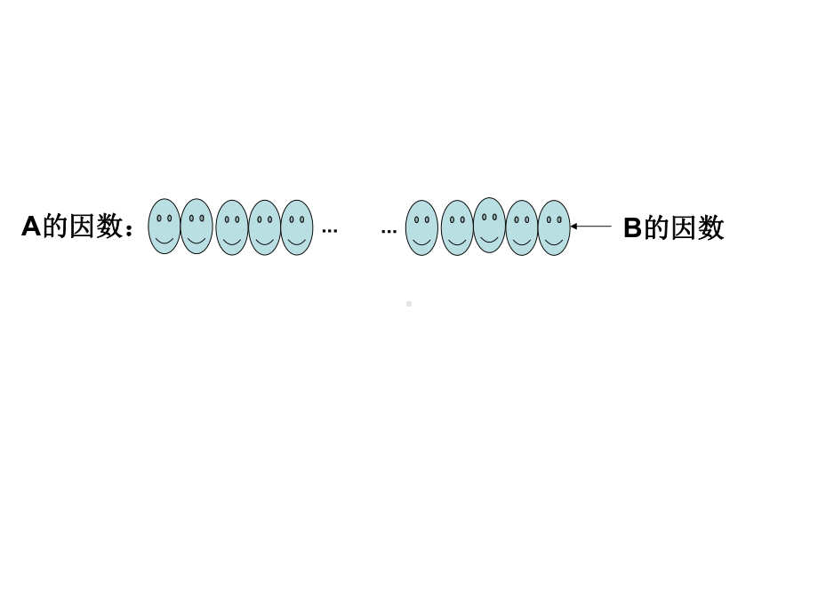 五年级上册数学课件-5.6 找最大公因数 ︳北师大版 (共27张PPT).ppt_第2页