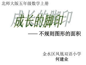 五年级上册数学课件-6.2 成长的脚印 不规则图形的面积 ︳北师大版 (共11张PPT).ppt