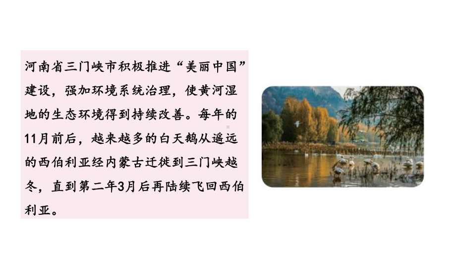 1.3环境变化与动物行为 ppt课件（共19张PPT)-2023新大象版六年级下册《科学》.pptx_第2页