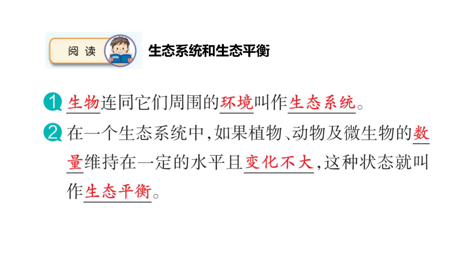 2.7做个生态瓶ppt课件（17张PPT)--2023新苏教版六年级下册《科学》.pptx_第2页