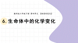 4.7.生命体中的化学变化（ppt课件） - 2023新教科版六年级下册科学.pptx