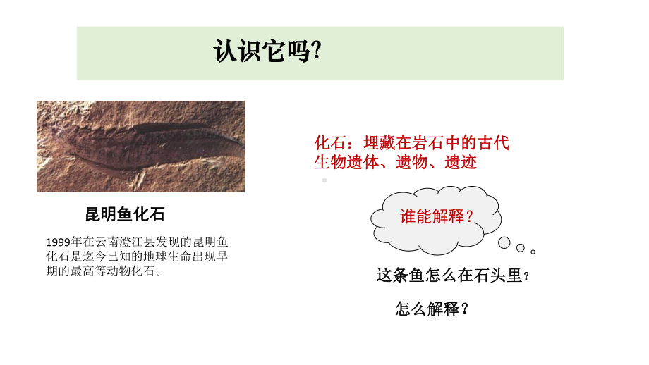 6.《古代生物的多样性》（ppt课件） - 2023新教科版六年级下册科学.pptx_第2页