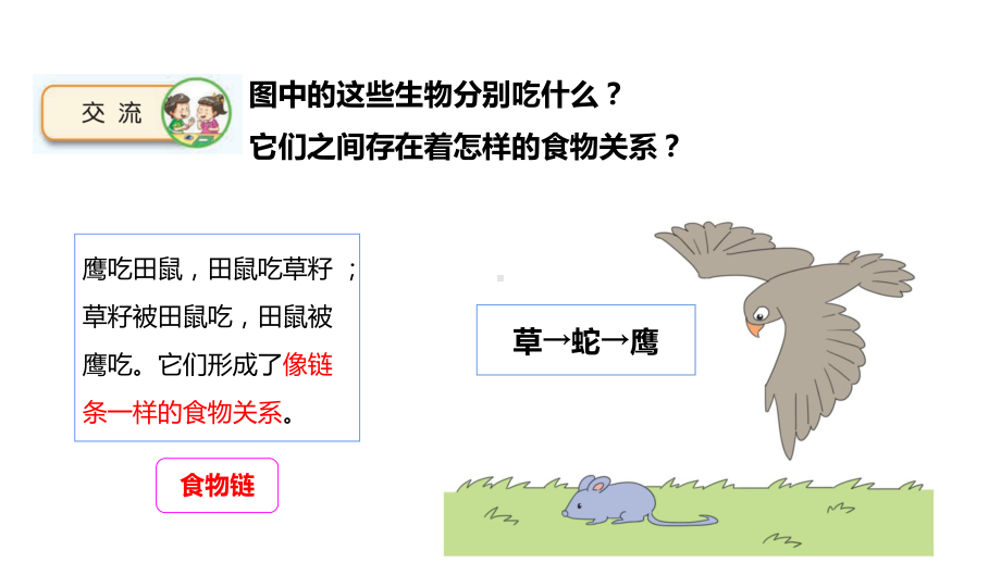 2.6有趣的食物链ppt课件（21张PPT)--2023新苏教版六年级下册《科学》.pptx_第2页