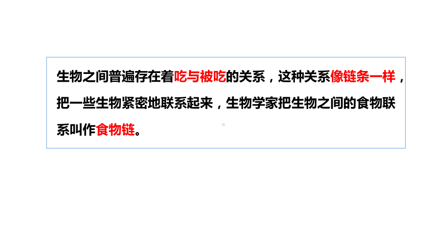 2.6有趣的食物链ppt课件（21张PPT)--2023新苏教版六年级下册《科学》.pptx_第3页