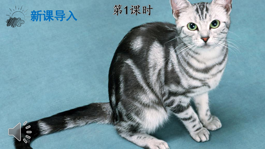 部编人教版四年级下语文13《猫》优质示范课教学课件.pptx_第2页