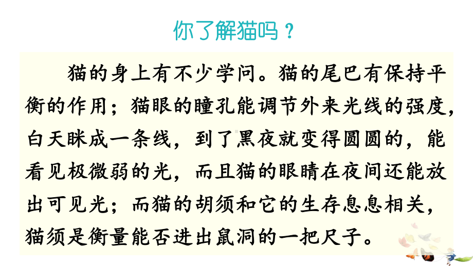 部编人教版四年级下语文13《猫》优质示范课教学课件.pptx_第3页