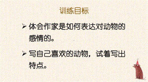 部编人教版四年级下语文13《猫》示范课教学课件.pptx