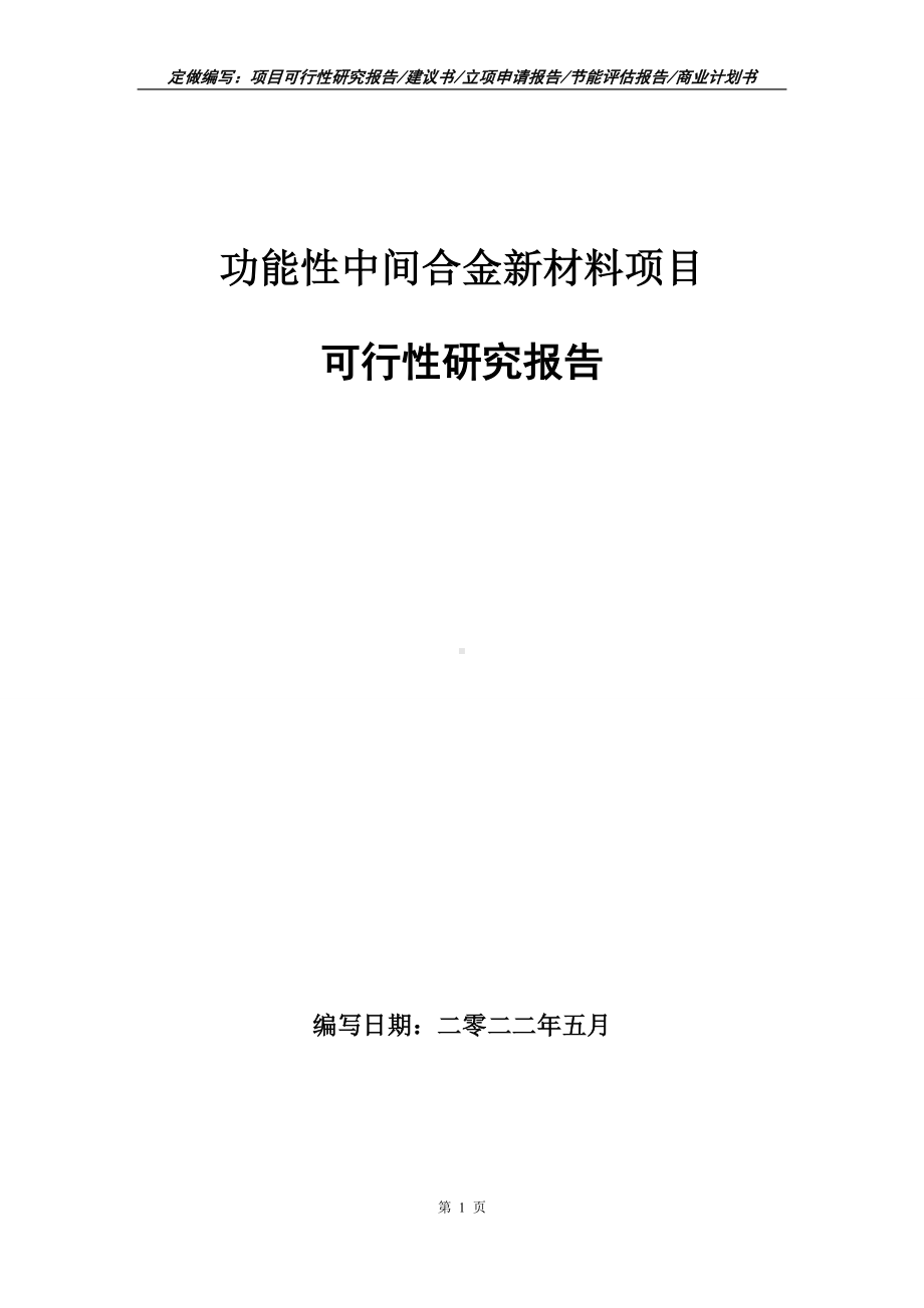 功能性中间合金新材料项目可行性报告（写作模板）.doc_第1页