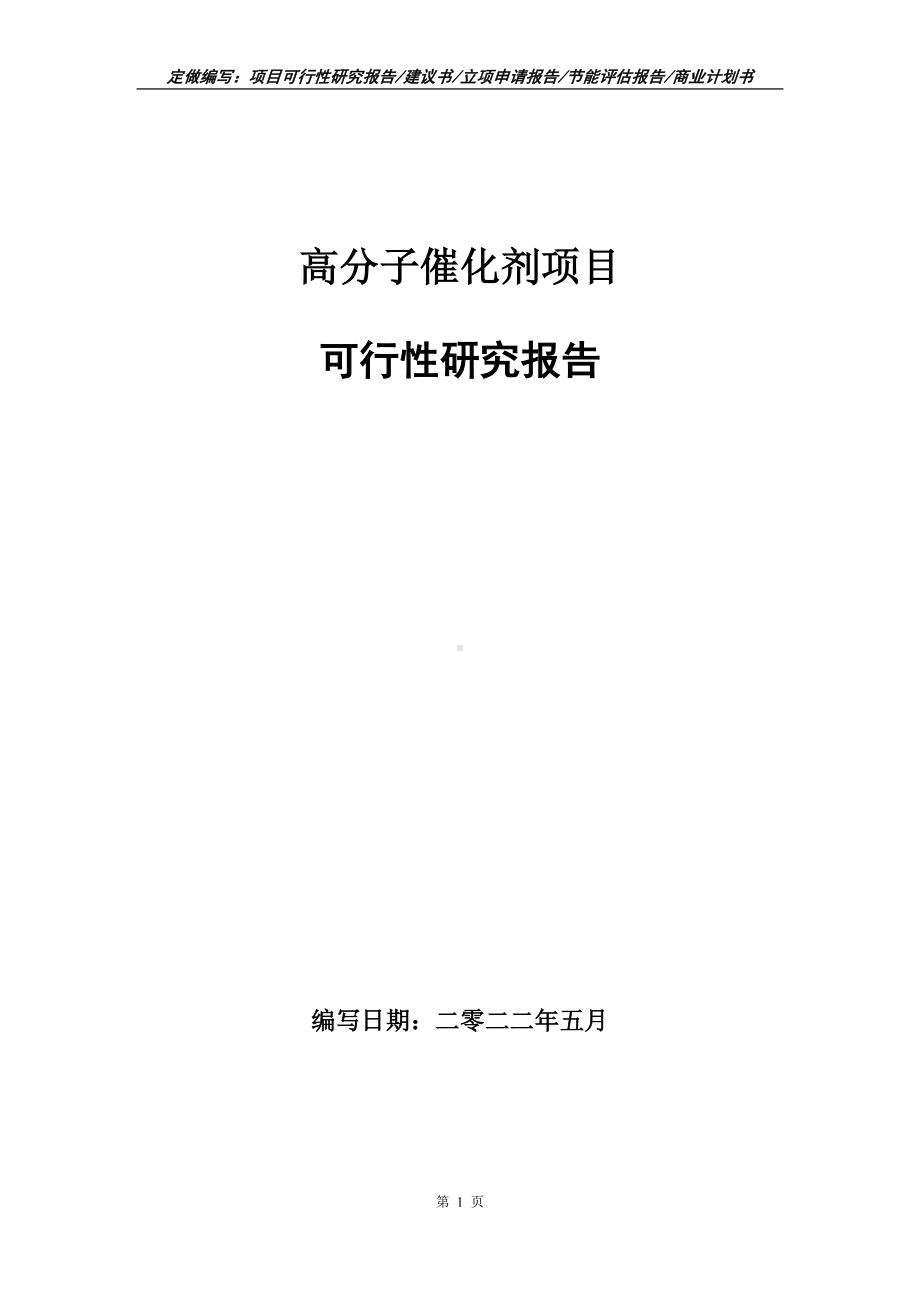 高分子催化剂项目可行性报告（写作模板）.doc_第1页