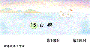 部编人教版四年级下语文15《白鹅》示范优课教学课件.pptx