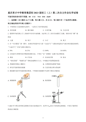 重庆市九龙坡区育才中学教育集团2022-2023学年九年级上学期第二次自主作业化学试题.docx