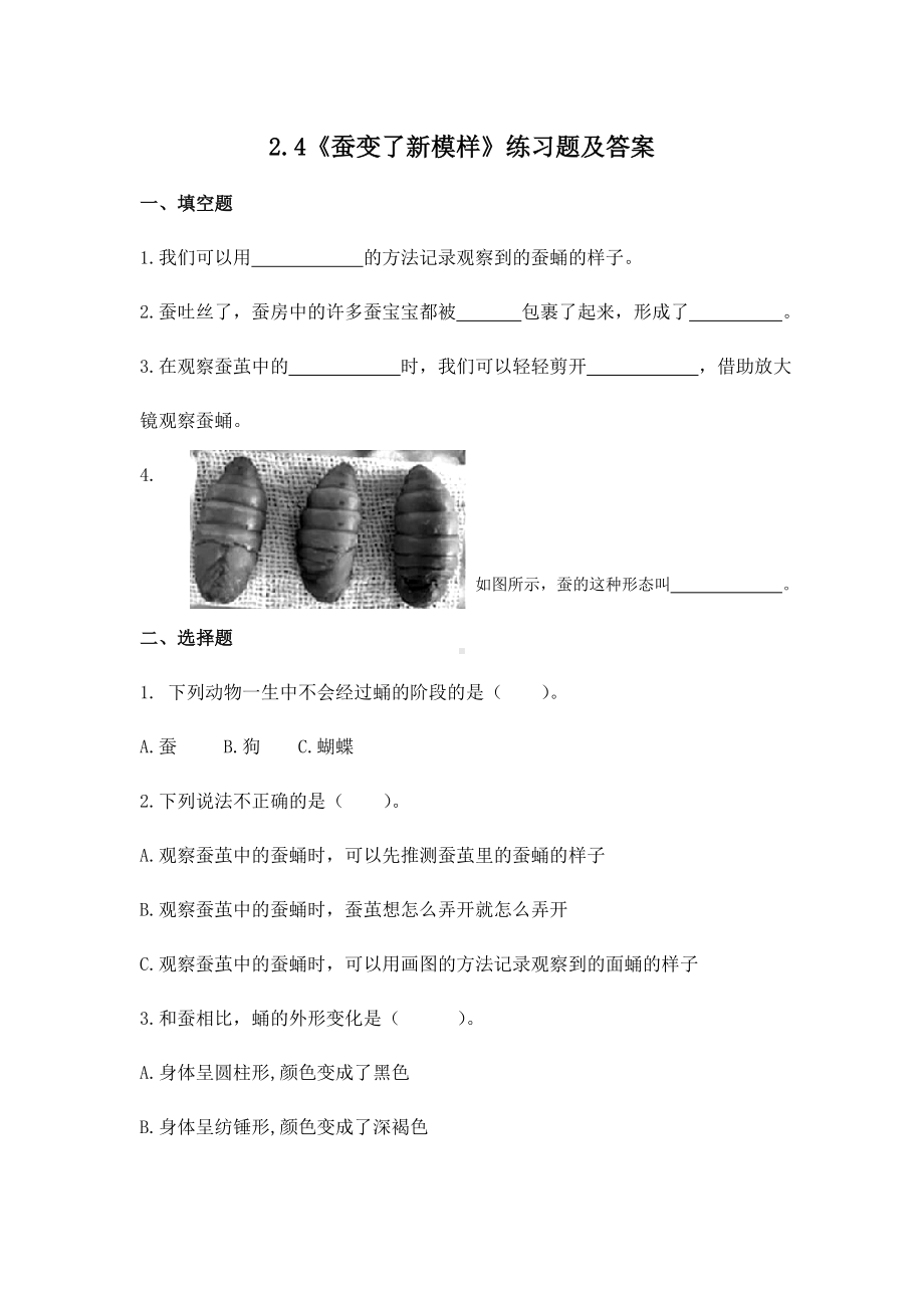 2022-2023新教科版三年级科学下册2-4《蚕变了新模样》练习题及答案.doc_第1页