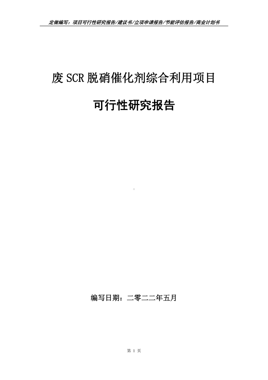 废SCR脱硝催化剂综合利用项目可行性报告（写作模板）.doc_第1页