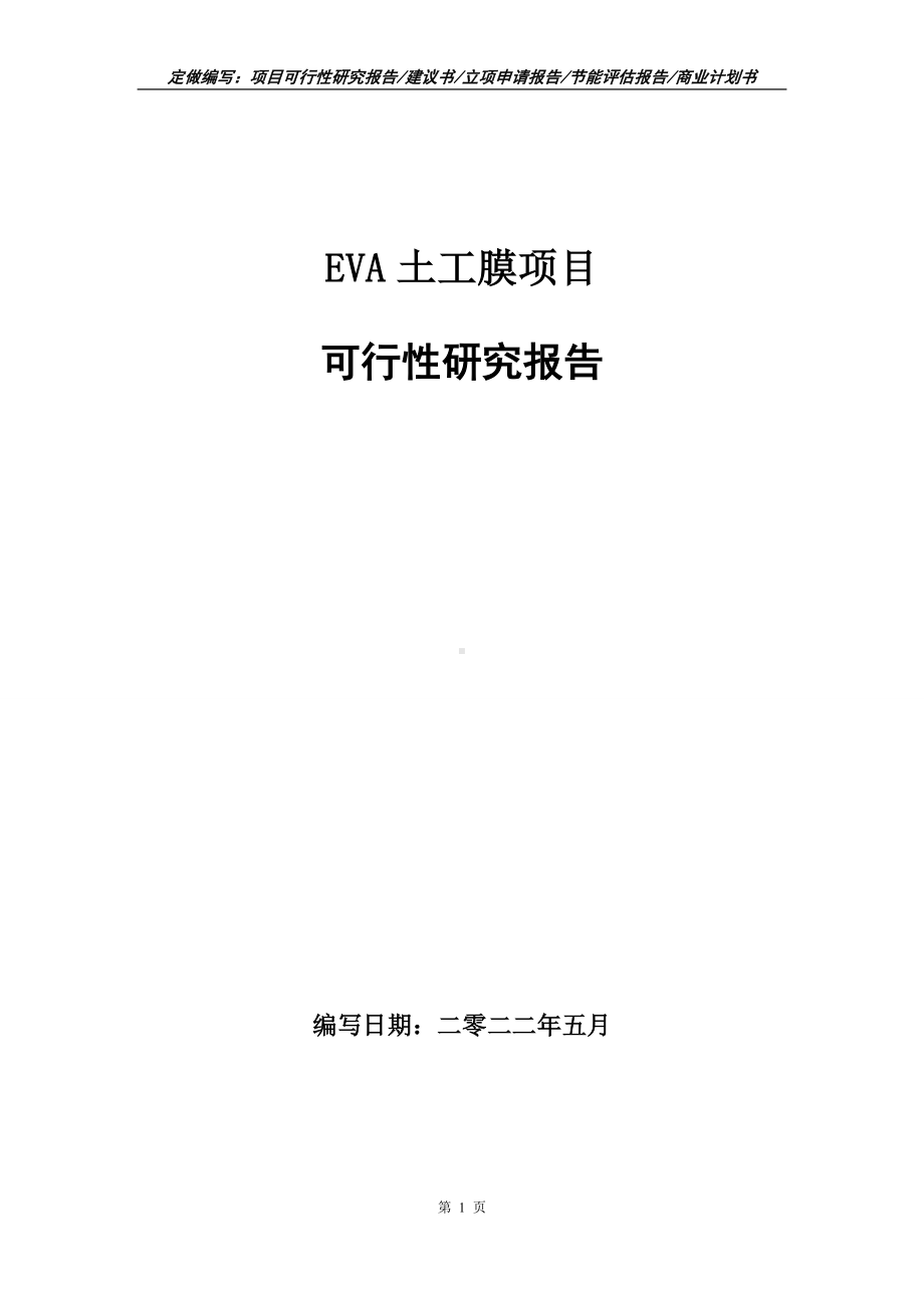 EVA土工膜项目可行性报告（写作模板）.doc_第1页