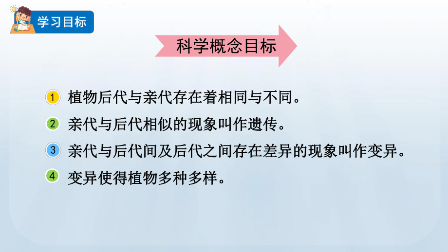 2023春教科版六年级科学下册2.3 形形色色的植物.pptx_第2页